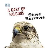 A_cast_of_falcons